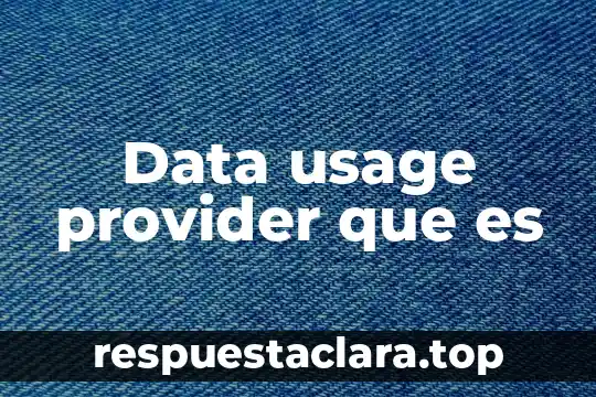 Data usage provider que es