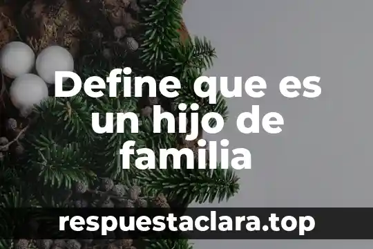 Qué es un divisor y concepto 5 Define que es un hijo de familia