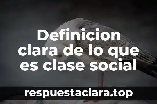 Qué es xenofobia definición 4 Definicion clara de lo que es clase social