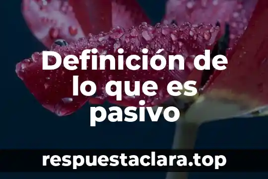 Definición de lo que es pasivo