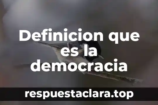 Definicion que es la democracia