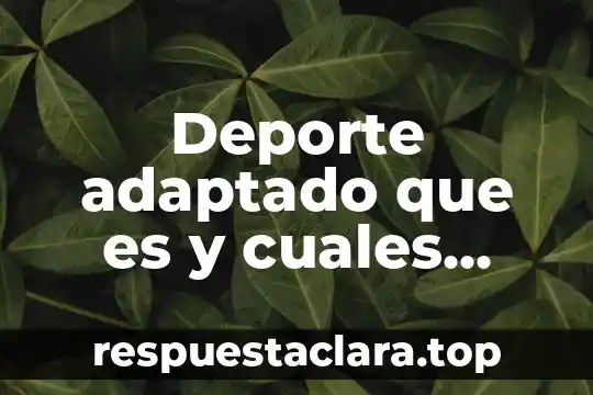 Qué es el junco planta 5 Deporte adaptado que es y cuales existen