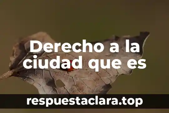 Derecho a la ciudad que es