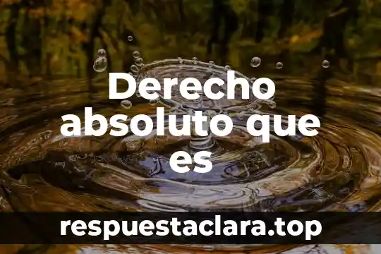 Derecho absoluto que es