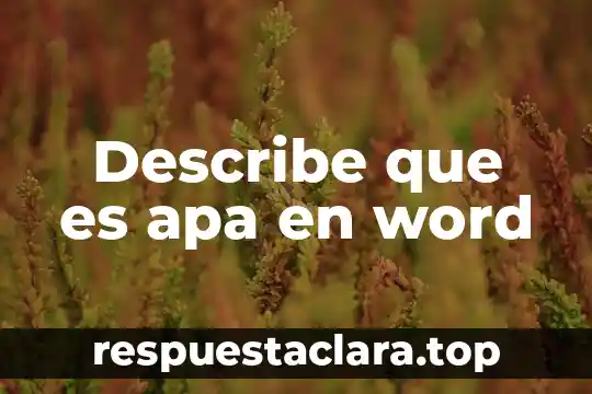 Describe que es apa en word