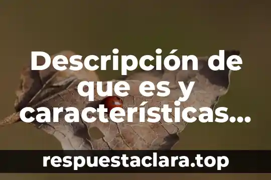 Descripción de que es y características de modernismo