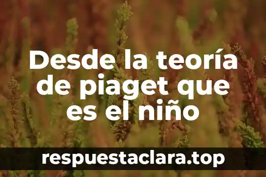 Desde la teoría de piaget que es el niño