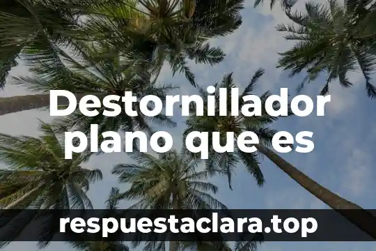 Qué es el personaje plano 7 Destornillador plano que es