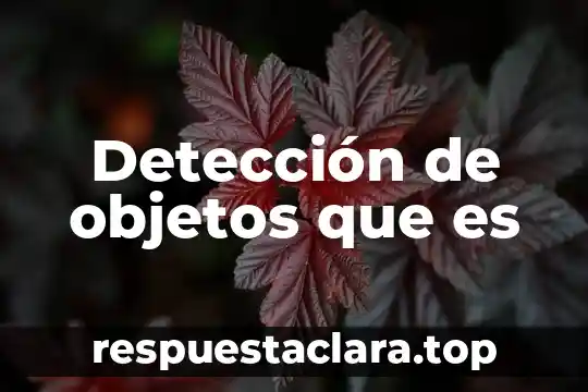 Que es la herencia en programacion de objetos 7 Detección de objetos que es