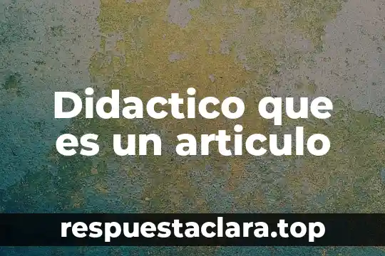 Didactico que es un articulo