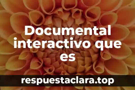 Documental interactivo que es