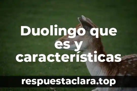 Qué es una ficha bibliográfica significado concepto y características 8 Duolingo que es y características
