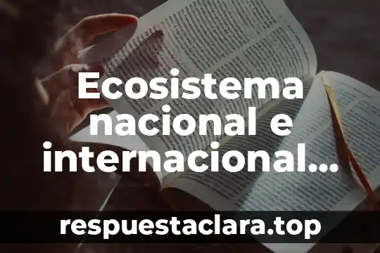 Ecosistema nacional e internacional finanzas que es