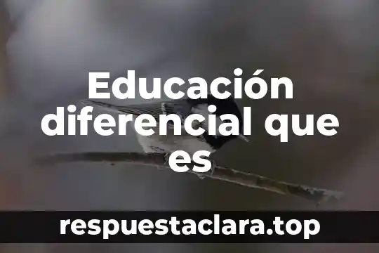 Que es calculo diferencial e integral en la sociedad acual 8 Educación diferencial que es
