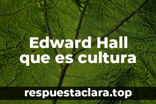 Que es ubicacion temporal en historia 6 Edward Hall que es cultura