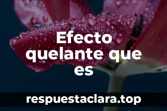 Que es efecto antiandrogénico 4 Efecto quelante que es
