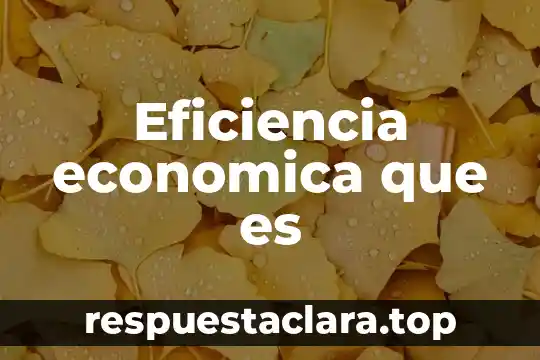 Eficiencia economica que es