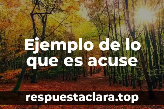 Ejemplo de lo que es acuse