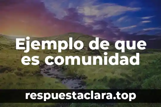 Ejemplo de que es comunidad