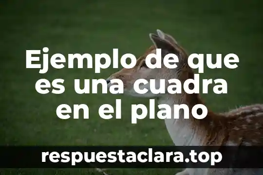 Que es un logotipo y ejemplo 5 Ejemplo de que es una cuadra en el plano