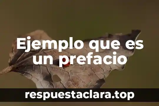Ejemplo que es un prefacio