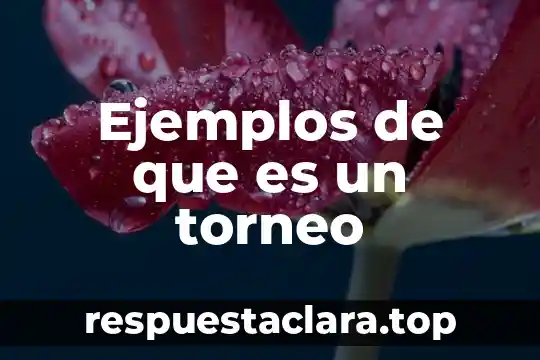 Qué es petrificación y ejemplos 3 Ejemplos de que es un torneo