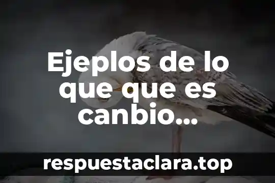 Ejeplos de lo que que es canbio quimicos