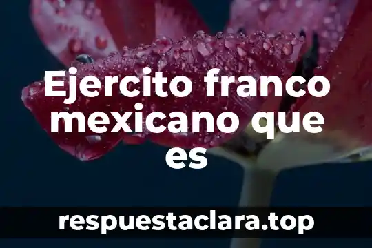 Ejercito franco mexicano que es