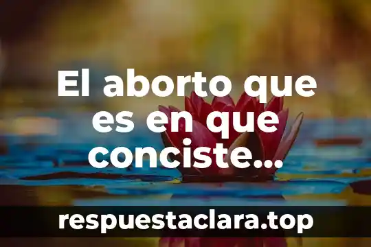 El aborto que es en que conciste caracteristicas