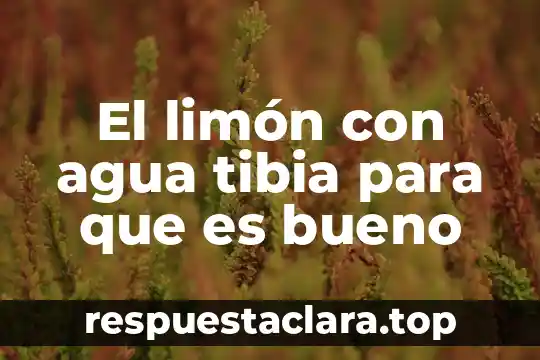 Te de limón que es nombre científico 3 El limón con agua tibia para que es bueno