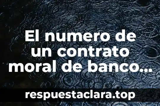El numero de un contrato moral de banco que es