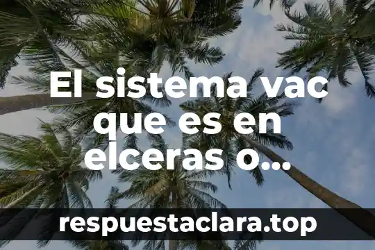 El sistema vac que es en elceras o escaras