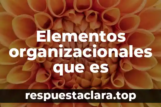 Que es la accion proforma elementos 3 Elementos organizacionales que es