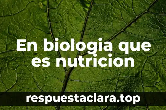 Qué es absorción en nutrición animal 8 En biologia que es nutricion