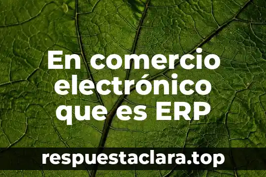 En comercio electrónico que es ERP