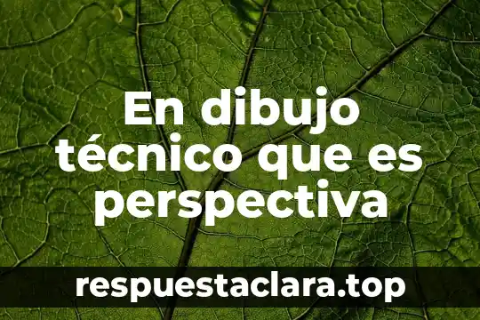 En dibujo técnico que es perspectiva
