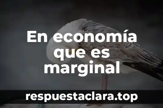 En economía que es marginal
