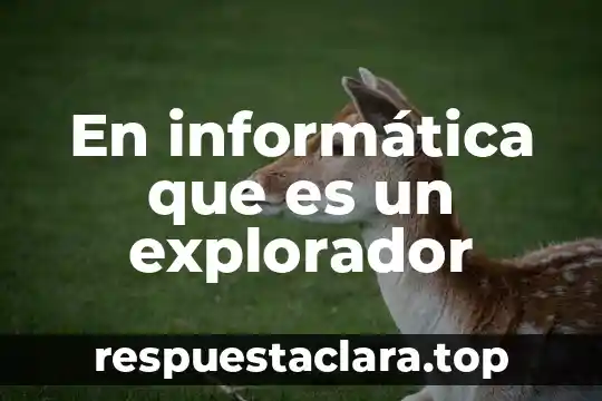 En informática que es un explorador