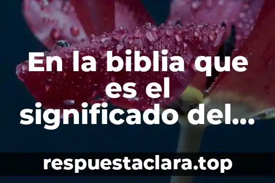 Que es ser un amigo del bosque significado 4 En la biblia que es el significado del misterio pascual