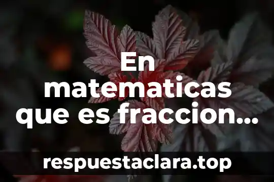 Que es una fracción y su definición corta 4 En matematicas que es fraccion comun