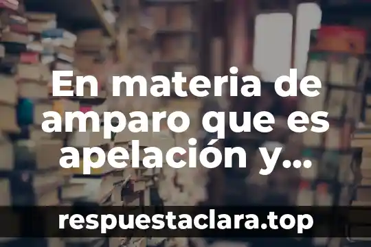 Que es la firma electronica amparo 3 En materia de amparo que es apelación y impugnación