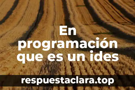 Que es el c++ en programacion 5 En programación que es un ides