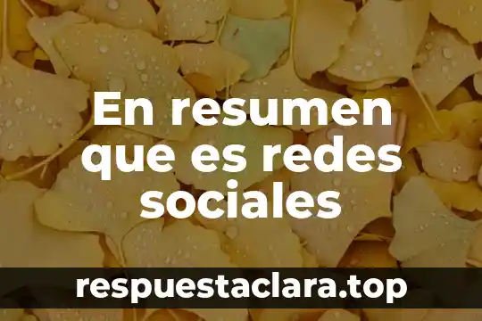 En resumen que es redes sociales
