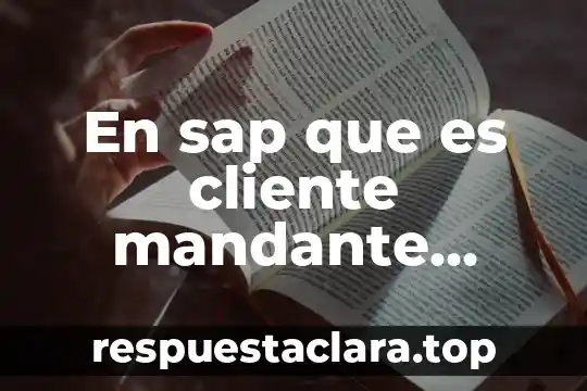 En sap que es cliente mandante ambiente