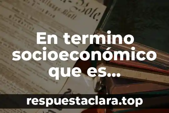 Que es el nivel socioeconómico para la amai 3 En termino socioeconómico que es neoliberalismo