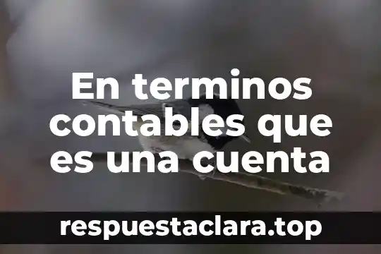 En terminos contables que es una cuenta