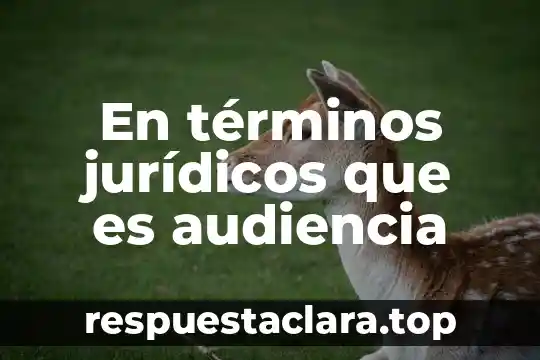 En términos jurídicos que es audiencia