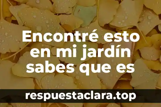 Encontré esto en mi jardín sabes que es