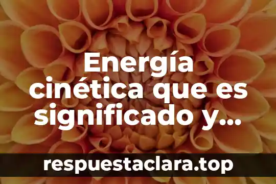 Qué es el virus del herpes viridae significado 3 Energía cinética que es significado y concepto