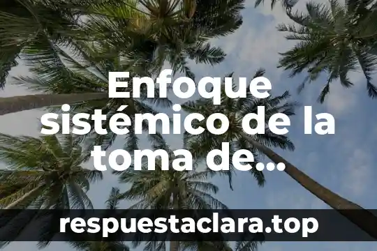 Enfoque sistémico de la toma de decisiones que es